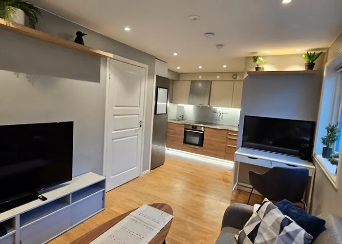 Apartament Moderne 10 Min Fra Sentrum